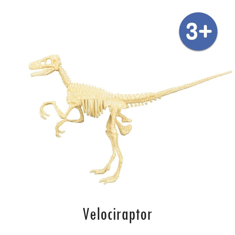 Mideer Assorted Dinosaur Skeleton Toy Figures MD2020