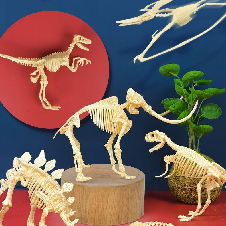 Mideer Assorted Dinosaur Skeleton Toy Figures MD2020