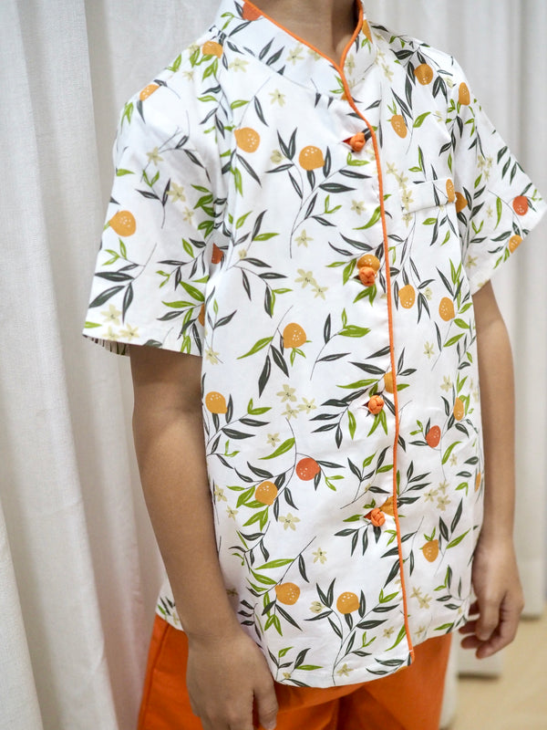 Boys Mandarin Collar Shirt A100CEE21B Pocketpig Diary