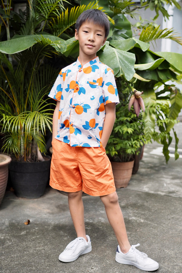 Tangerine Blossom Boys Mandarin Collar Shirt Pocketpig Diary