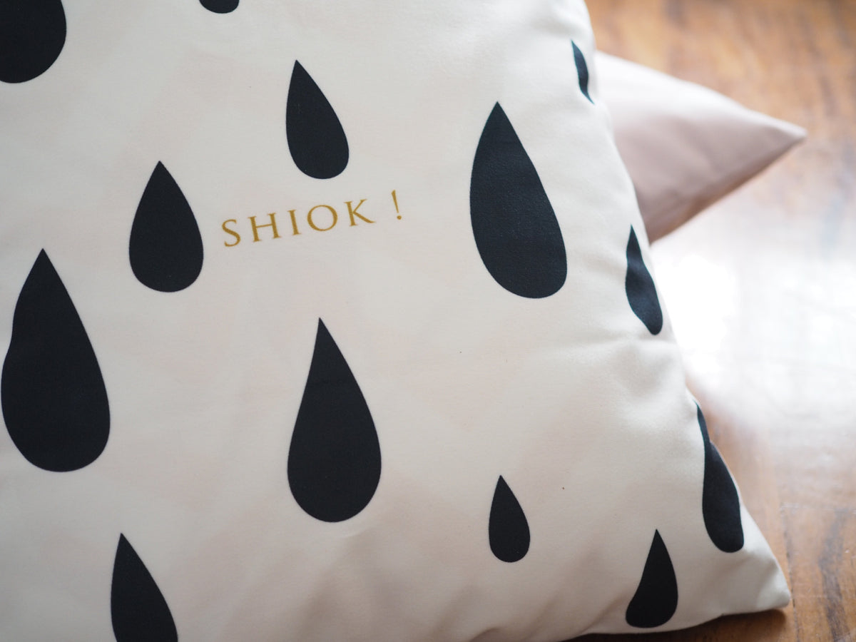 Flannel Double Sided Printed Singlish Cushion Covers PPD665B