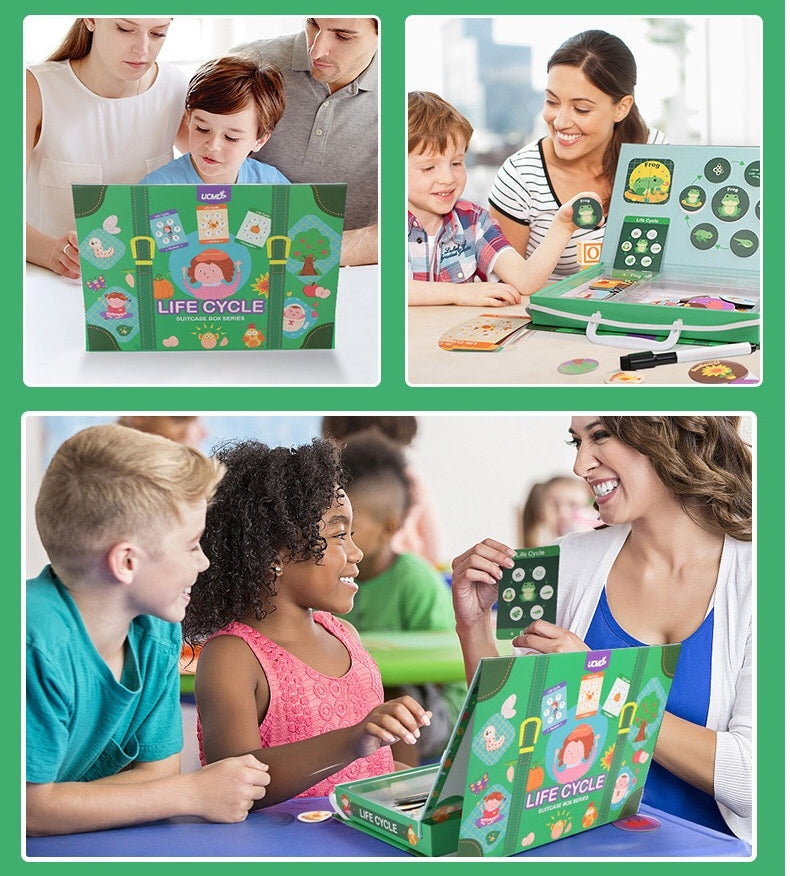 UCMD Magnetic Montessori Puzzle Life Cycle
