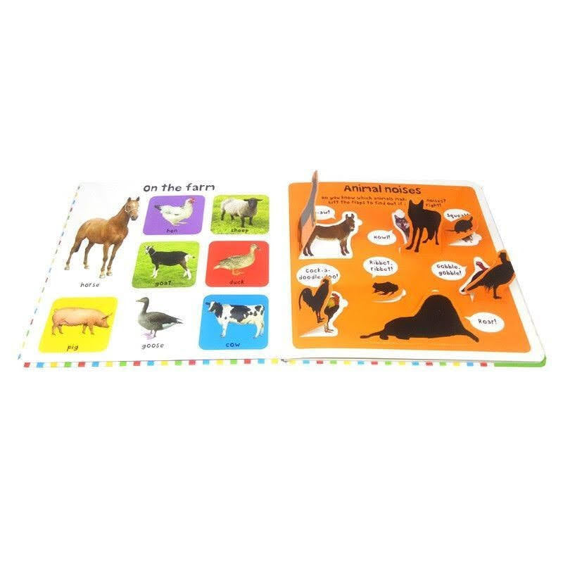 First 100 Board Book Box Set 5 Books BK2011A - Pocketpig Diary