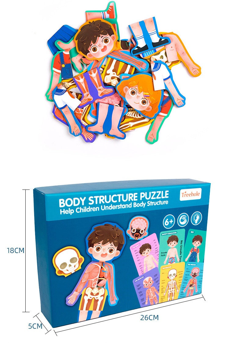 Treehole Body Structure Puzzle T2331C/ T2331D