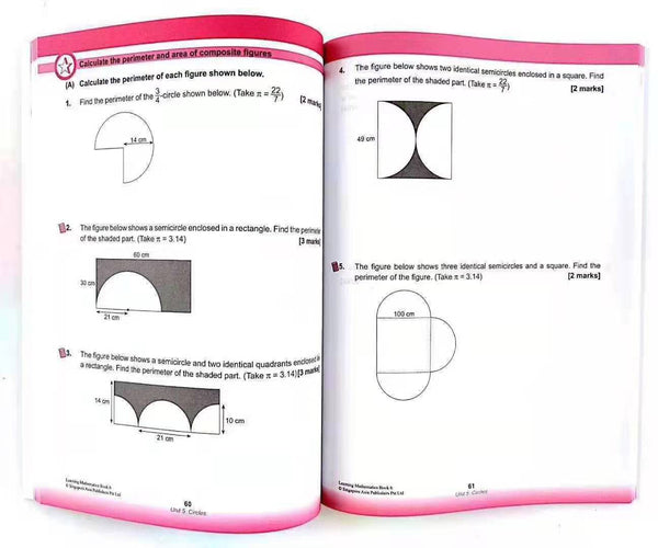 SAP Learning Mathematics (P1 to P6) BK2105A - Pocketpig Diary